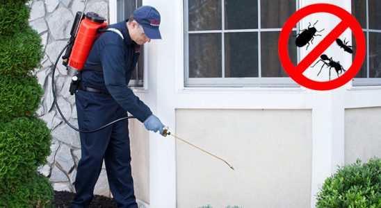 Ağrı Böcek ve Haşere İlaçlama böcek ilaçlama ve haşere kontrolü — ilaclama-tr.com